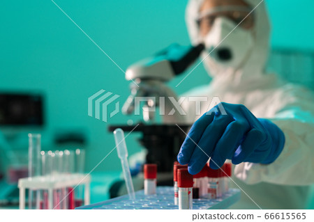 Examining blood of coronavirus patients Examining blood of coronavirus patients 66615565