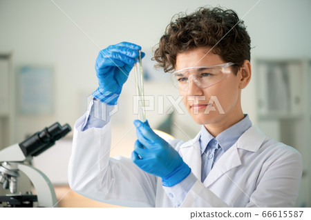 Checking test tube before experiment Checking test tube before experiment 66615587