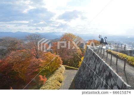 Ishigaki of Nihonmatsu Castle (in Gujo, Nihonmatsu City, Fukushima Prefecture) 66615874