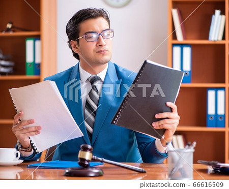 Lawyer working in the office Lawyer working in the office 66616509
