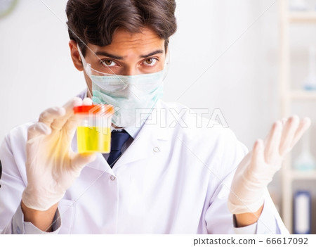 Young handsome chemist working in the lab 66617092