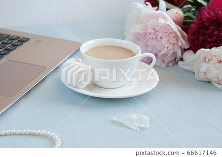 Feminine morning coffee break, top view. Feminine morning coffee break, top view. 66617146
