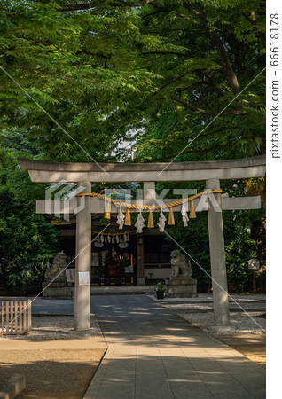Zoshigaya Otori Shrine Precinct Ebisu Shrine Zoshigaya Otori Shrine Precinct Ebisu Shrine 66618178