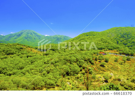 新鮮的綠色黑木和地藏岳 新鮮的綠色黑木和地藏岳 66618370