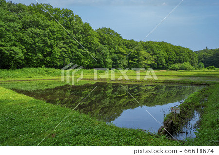 Blue sky and Kishitanbo before rice planting 66618674