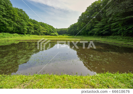 水稻播種前的藍天和岸丹波 水稻播種前的藍天和岸丹波 66618676