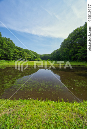 水稻播種前的藍天和岸丹波 水稻播種前的藍天和岸丹波 66618677