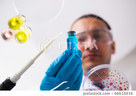 Young male chemist working in the lab 66618838
