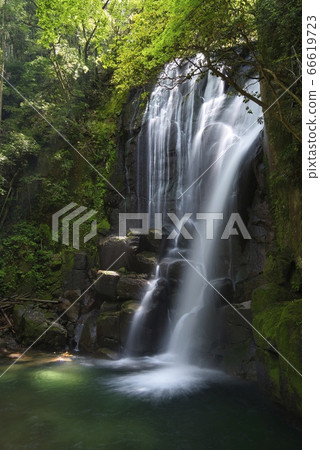 Mulberry Tree Waterfall (Shingu City, Wakayama Prefecture) Mulberry Tree Waterfall (Shingu City, Wakayama Prefecture) 66619723
