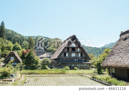 初夏白川鄉(白天) 初夏白川鄉(白天) 66621116