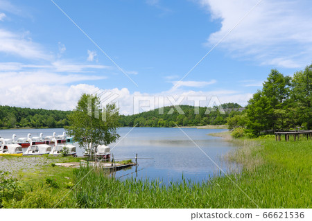 白鹿高原，女神湖的夏天 66621536