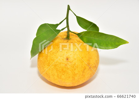 Summertime orange Summertime orange 66621740