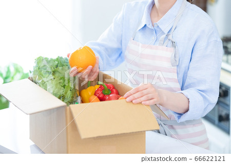女人拿出紙箱裡的新鮮蔬菜（無臉） 66622121