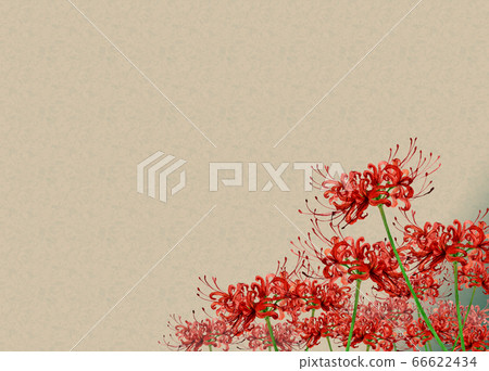 Limulus Japanese style background Limulus Japanese style background 66622434