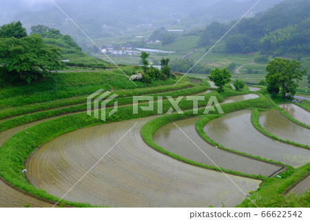 雨水梯田(奈良縣塔卡市區明日香村) 雨水梯田(奈良縣塔卡市區明日香村) 66622542