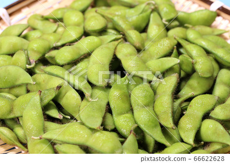 Edamame dadacha豆 Edamame dadacha豆 66622628