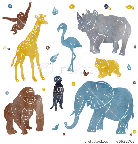 Natural watercolor style illustration set of safari animals Natural watercolor style illustration set of safari animals 66622705