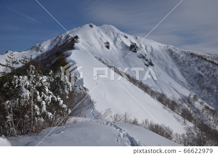 從松之澤的頭看去的雪白雪皚皚的雪嶺和白雪蒙山脈的山頂通往山頂 從松之澤的頭看去的雪白雪皚皚的雪嶺和白雪蒙山脈的山頂通往山頂 66622979