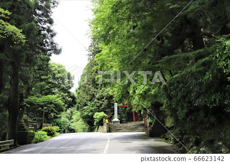 箱根神社入口 66623142