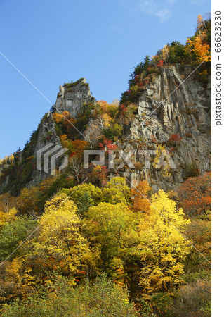 Sounkyo秋葉 66623230