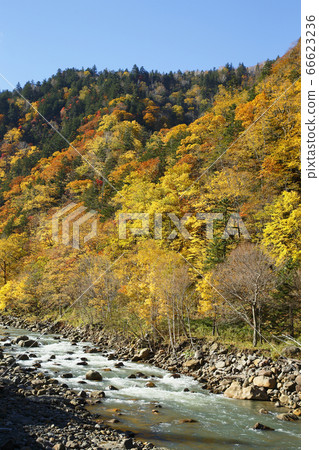 Autumn leaves of Sounkyo 66623236