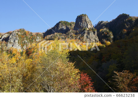 Autumn leaves of Sounkyo 66623238