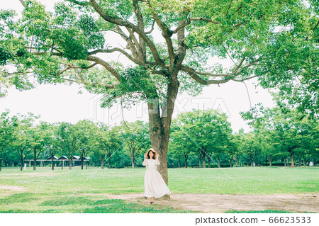 Woman standing under a big tree Woman standing under a big tree 66623533