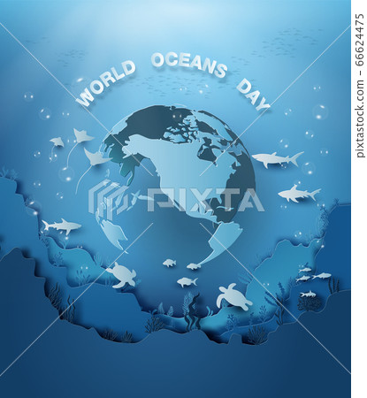 wildlife under sea 66624475