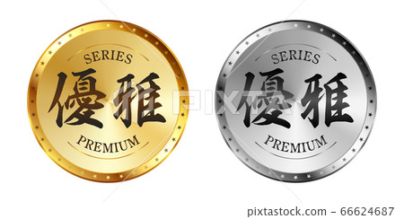 優雅的金色和銀色標籤集 優雅的金色和銀色標籤集 66624687