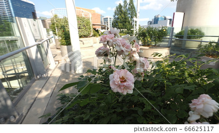 Seoul scenery 66625117