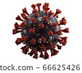 CG image of new coronavirus with synthetic mask 66625426
