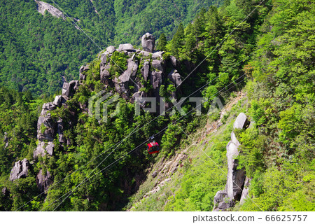 初夏的Gozaisho山（富士見岩天文台的美景） 66625757