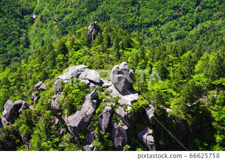 Mt. Gozaisho in early summer (Daikokuiwa) 66625758