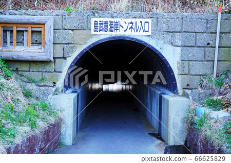 積丹海角的島武隧道 66625829