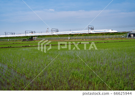Shinkansen and rice fields Shinkansen and rice fields 66625944