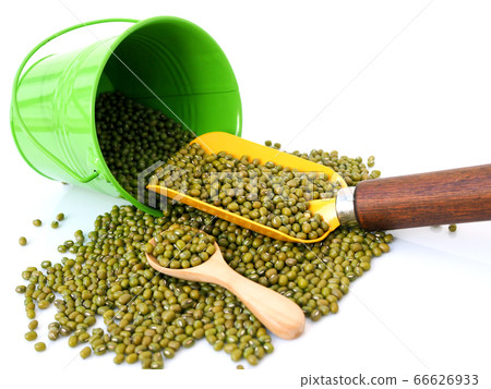 Above of yellow shovel used to scoop green mung Above of yellow shovel used to scoop green mung 66626933
