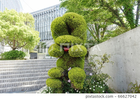 明石海峽政府公園內的植物製成的兔子 明石海峽政府公園內的植物製成的兔子 66627042