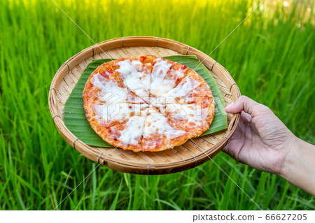 Cheese pizza on traditional bamboo weave plates and banana leaf on hand with jasmine rice background. 66627205