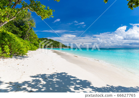 Beautiful crystal clear sea and white sand beach at Tachai island, Andaman, Thailand 66627765