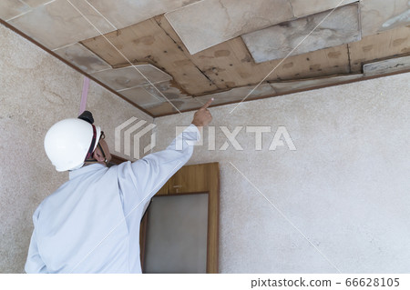 商人在房屋翻新前調查漏水的天花板 66628105
