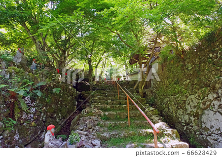 下關市老寺津寺的苔蘚法 下關市老寺津寺的苔蘚法 66628429