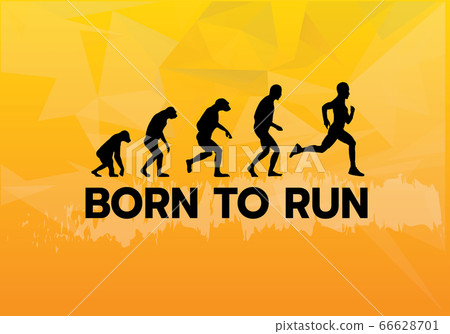 Born to run quote with silhouette human evolutions from apes to runner graphic vector 66628701