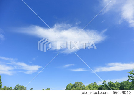 六月的雨季參觀了清新的藍天[奈良天理市] 66629040