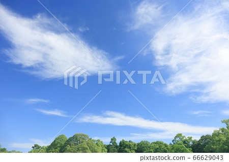 六月的雨季參觀了清新的藍天[奈良天理市] 66629043