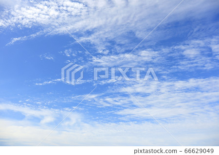 六月的雨季參觀了清新的藍天[奈良天理市] 66629049