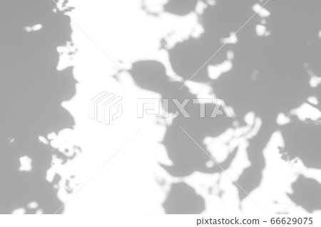 shadows of the tree branches on a white wall shadows of the tree branches on a white wall 66629075