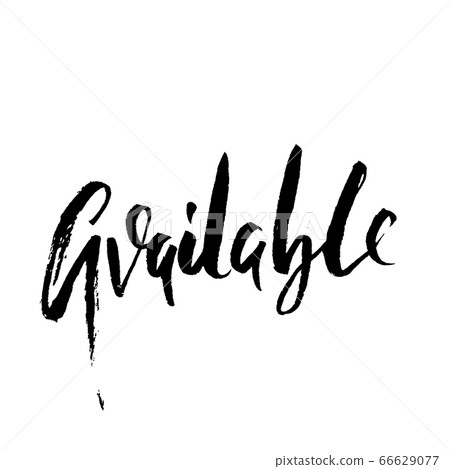Available. Modern brush lettering. Vector illustration. 66629077