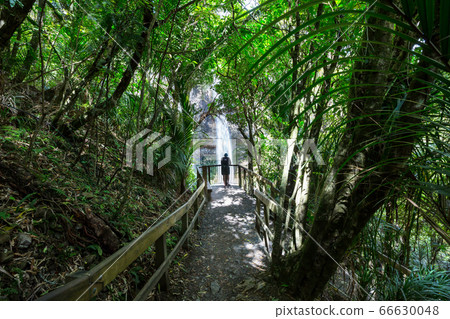 New Zealand waterfall 66630048