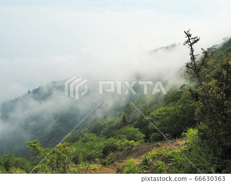 Mountain climbing Ohyama 66630363