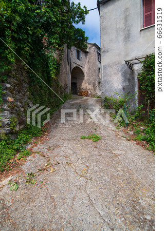 Alley in Costarician village Alley in Costarician village 66631519